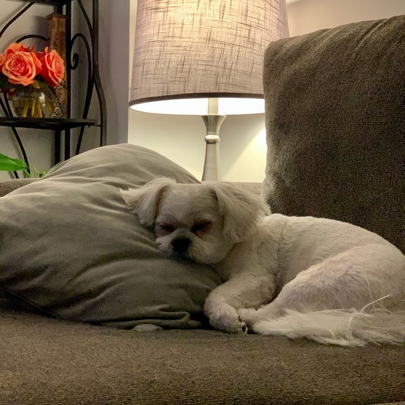 Meet your Posher, Angela - Picture 2 of 4